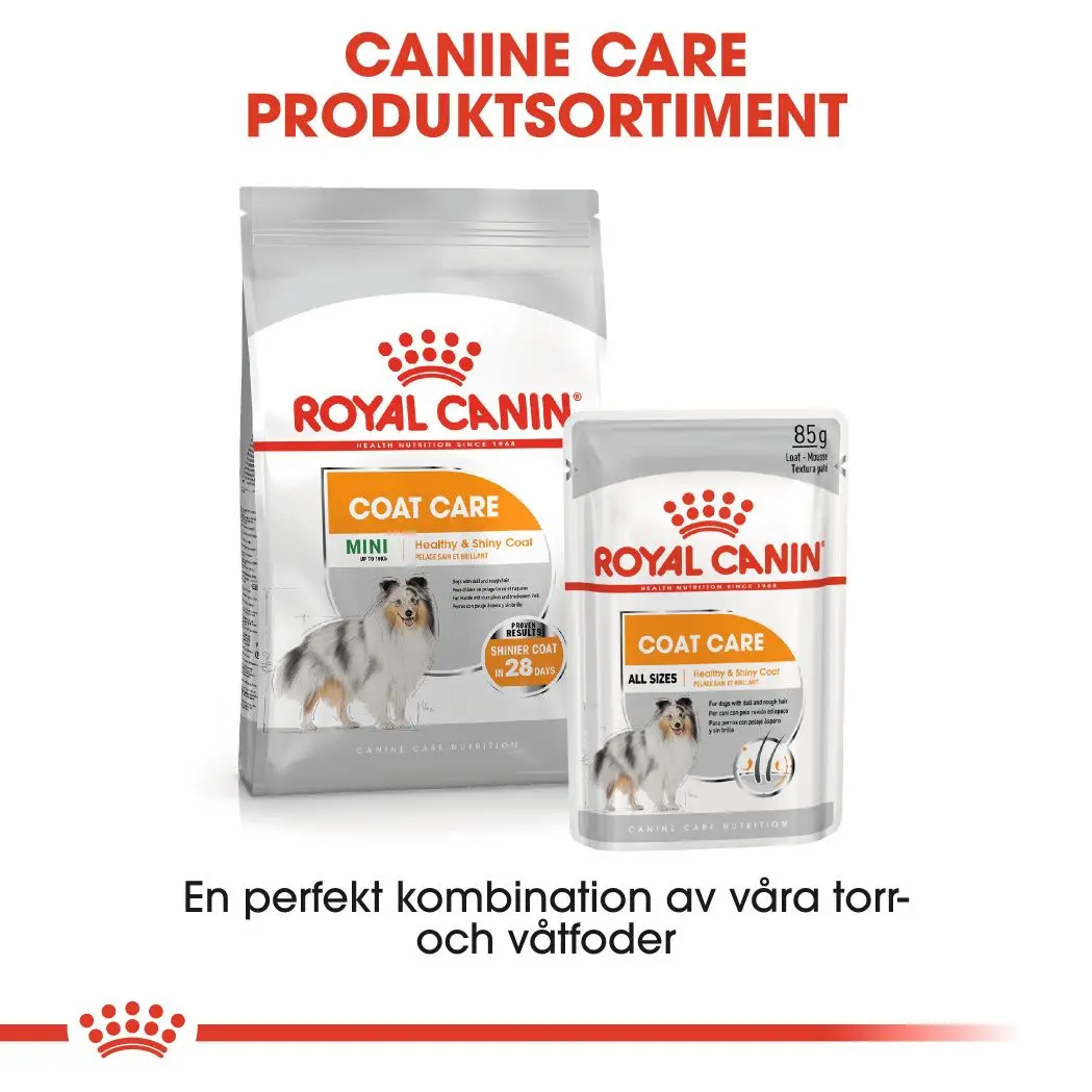 Coat Care Adult Mini kuivaruoka koirille
