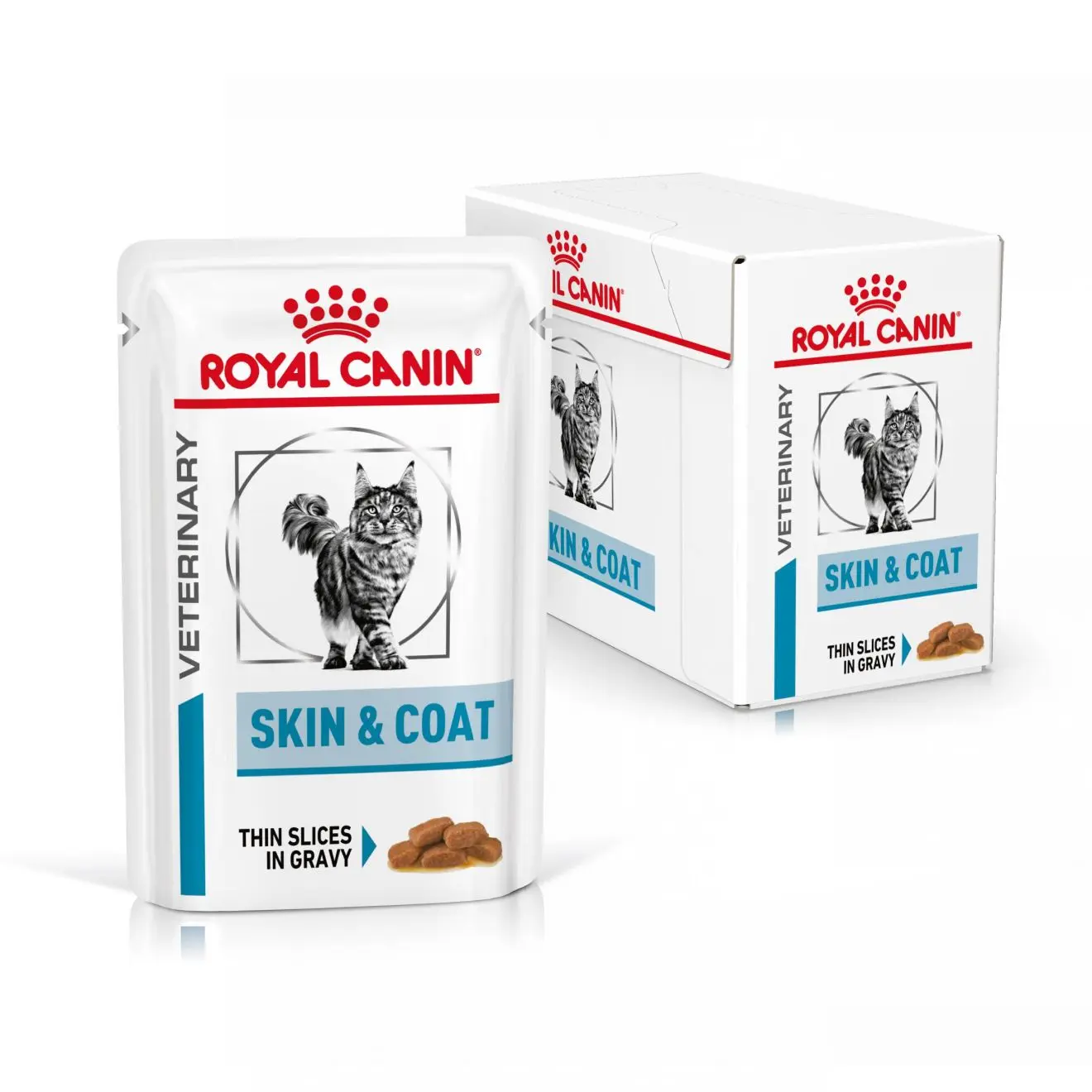 Derma Skin & Coat Pouch kissan märkäruoka