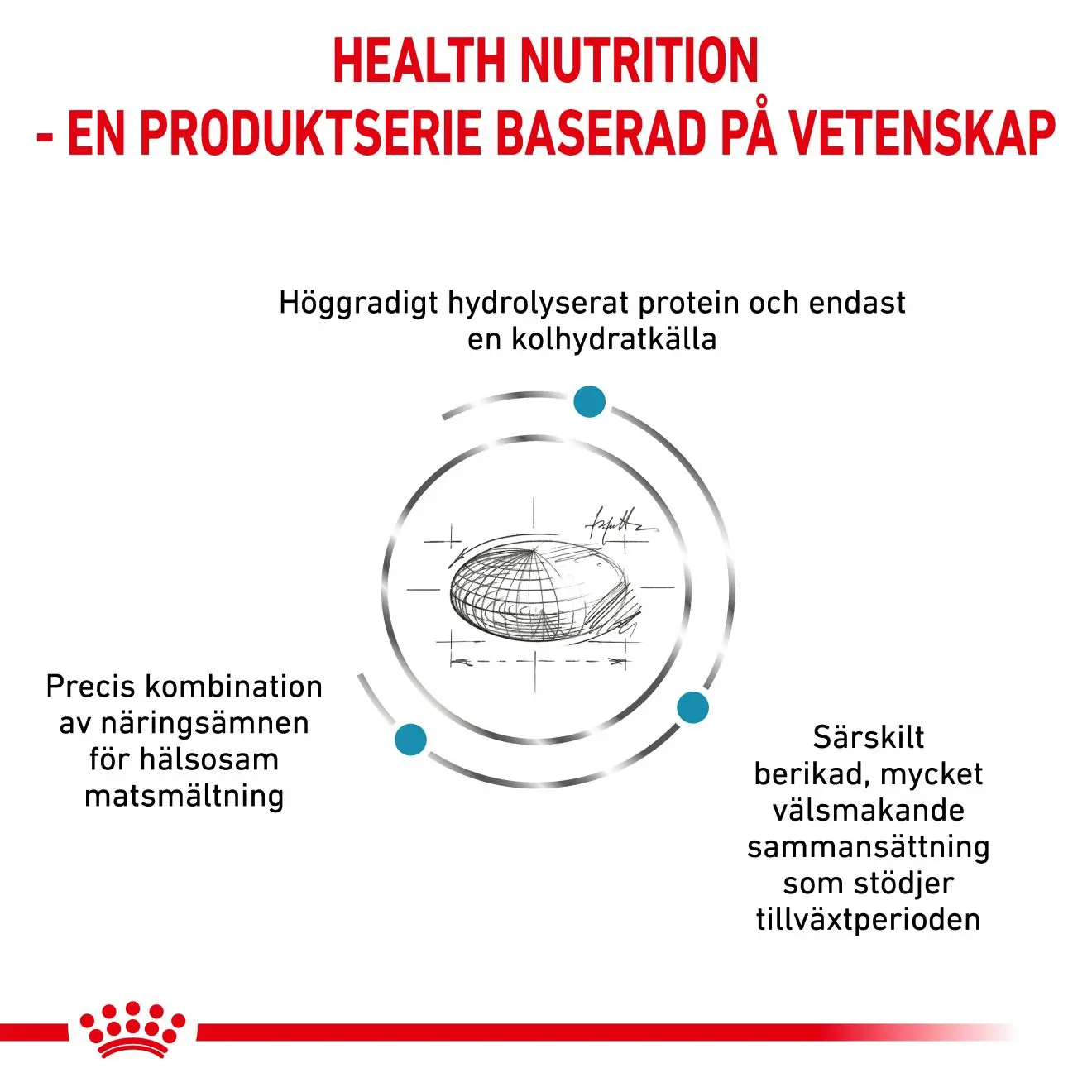 Derma Hypoallergenic Puppy Kuivaruoka pennuille.