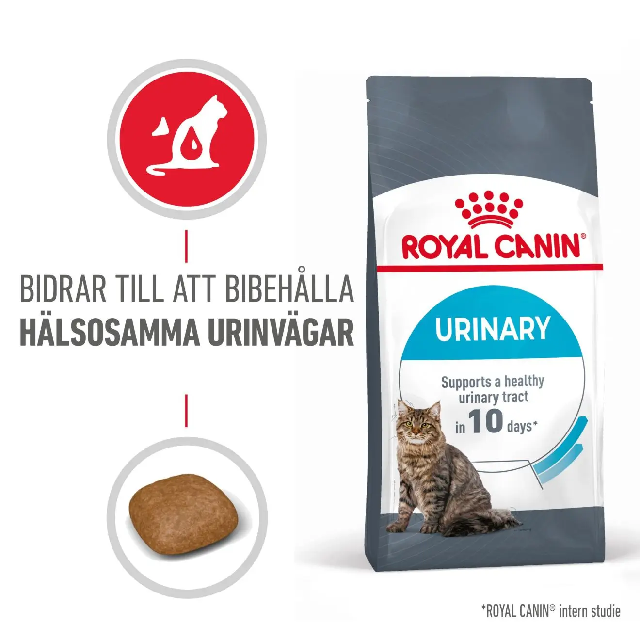 Urinary Care Adult kissan kuivaruoka