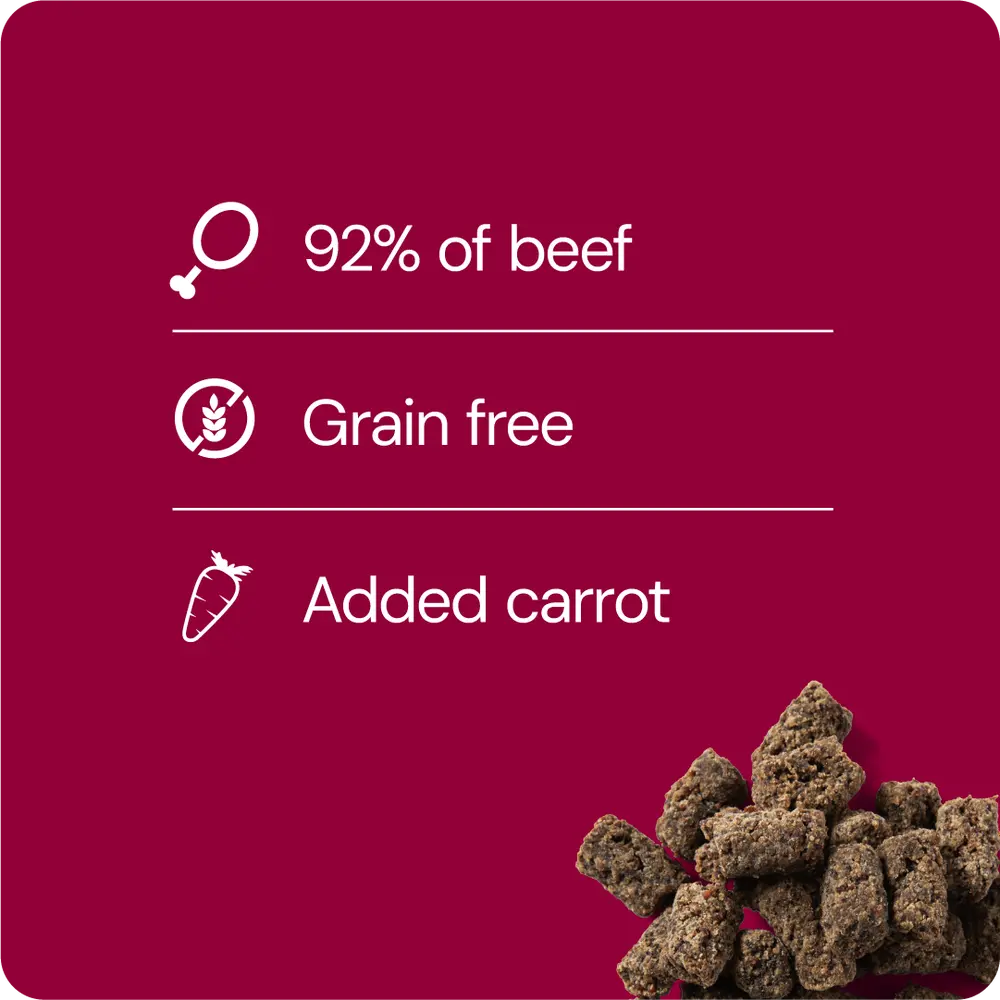 Beef-Carrot Treat
