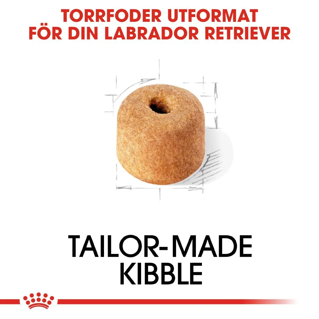 Labradorinnoutaja Aikuisten kuivaruoka koirille
