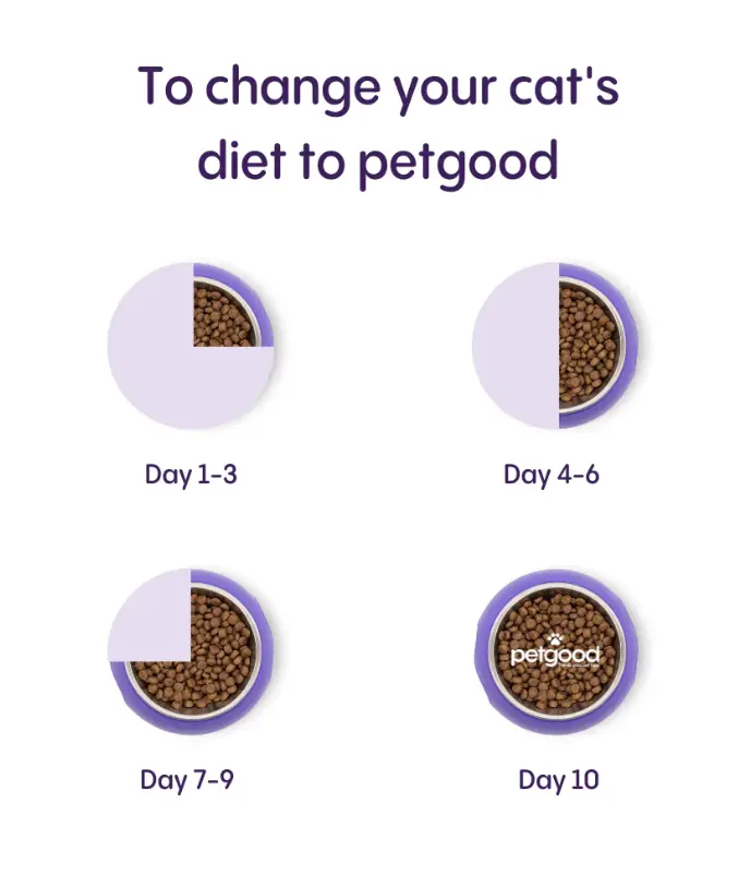 Petgood Hyönteispohjainen premium-ruoka aikuisille kissoille