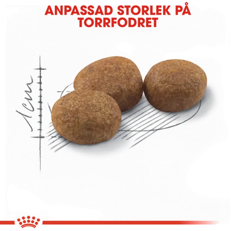 Sterilised Adult kissan kuivaruoka