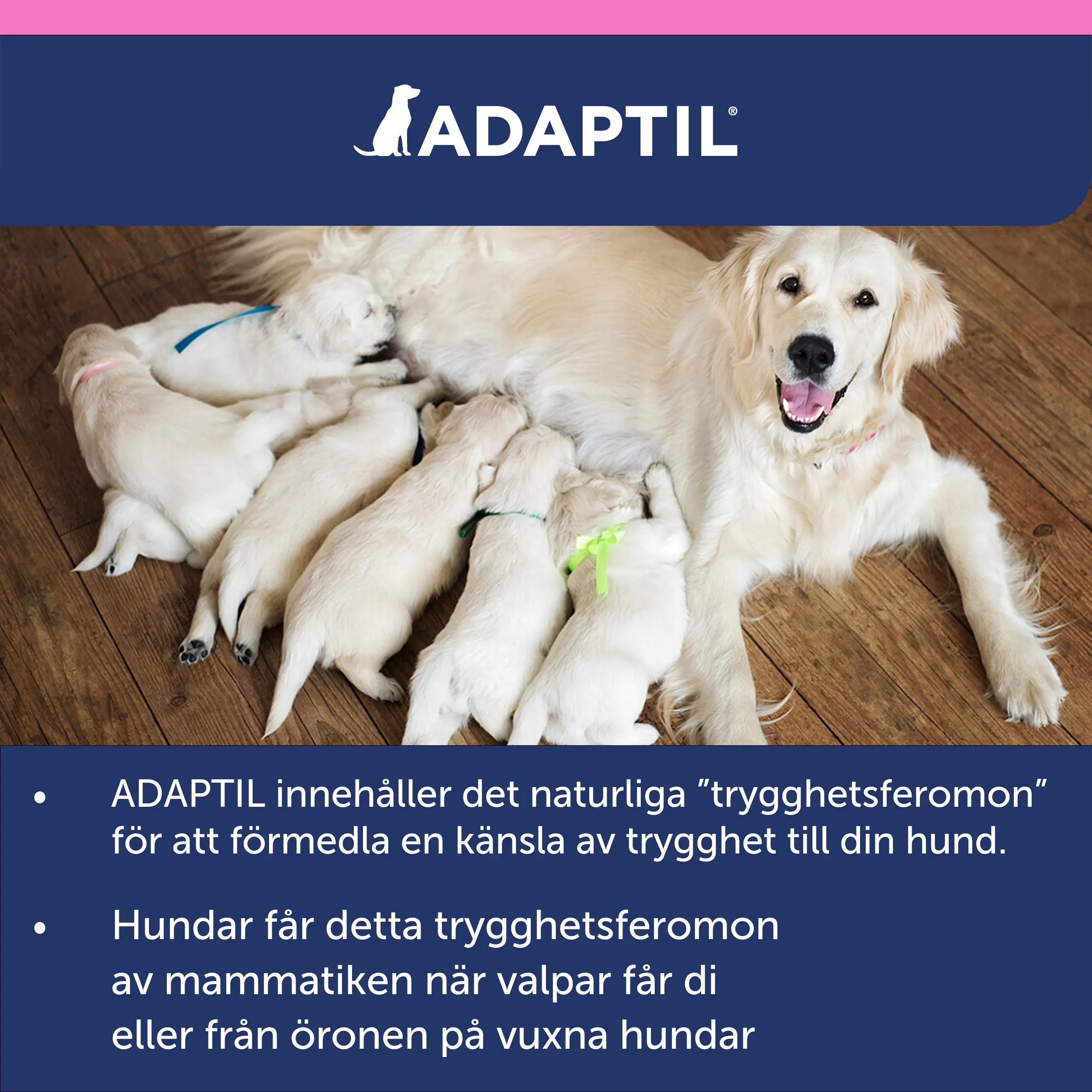 Calm Junior - Pentukaulapanta