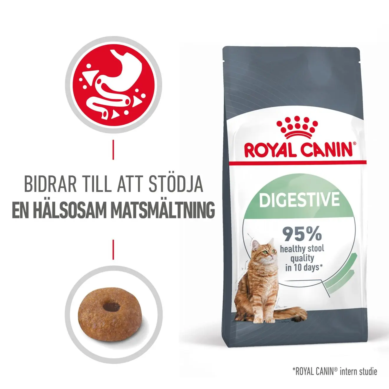 Digestive Care Adult Kuiva kissanruoka 10 kg