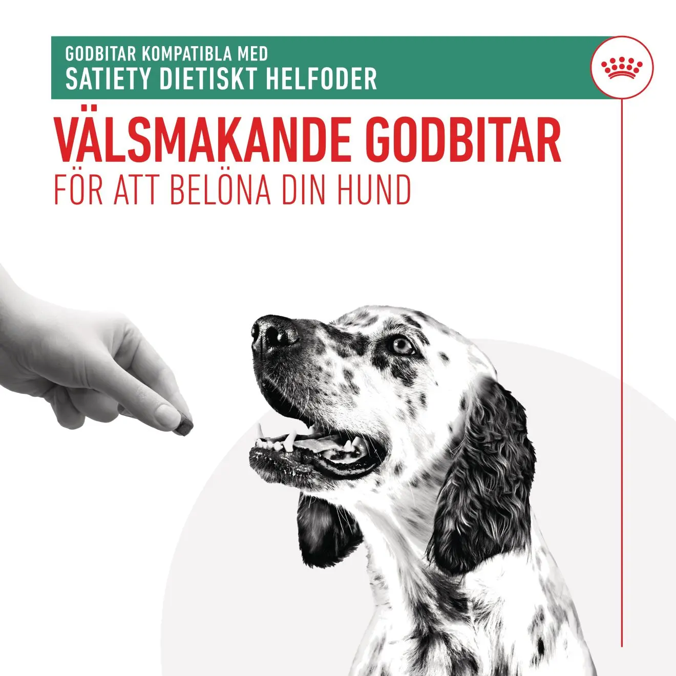Royal Canin Satiety Treats – godbidder til vægtkontrol hos voksne hunde