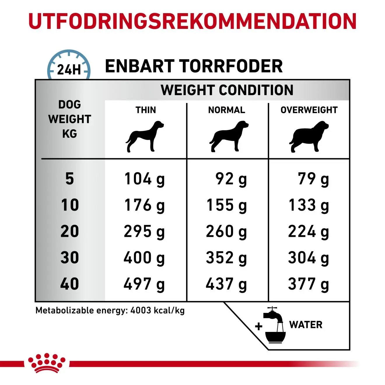 Anallergenic kuivaruoka koirille - ruoka-aineallergiaan