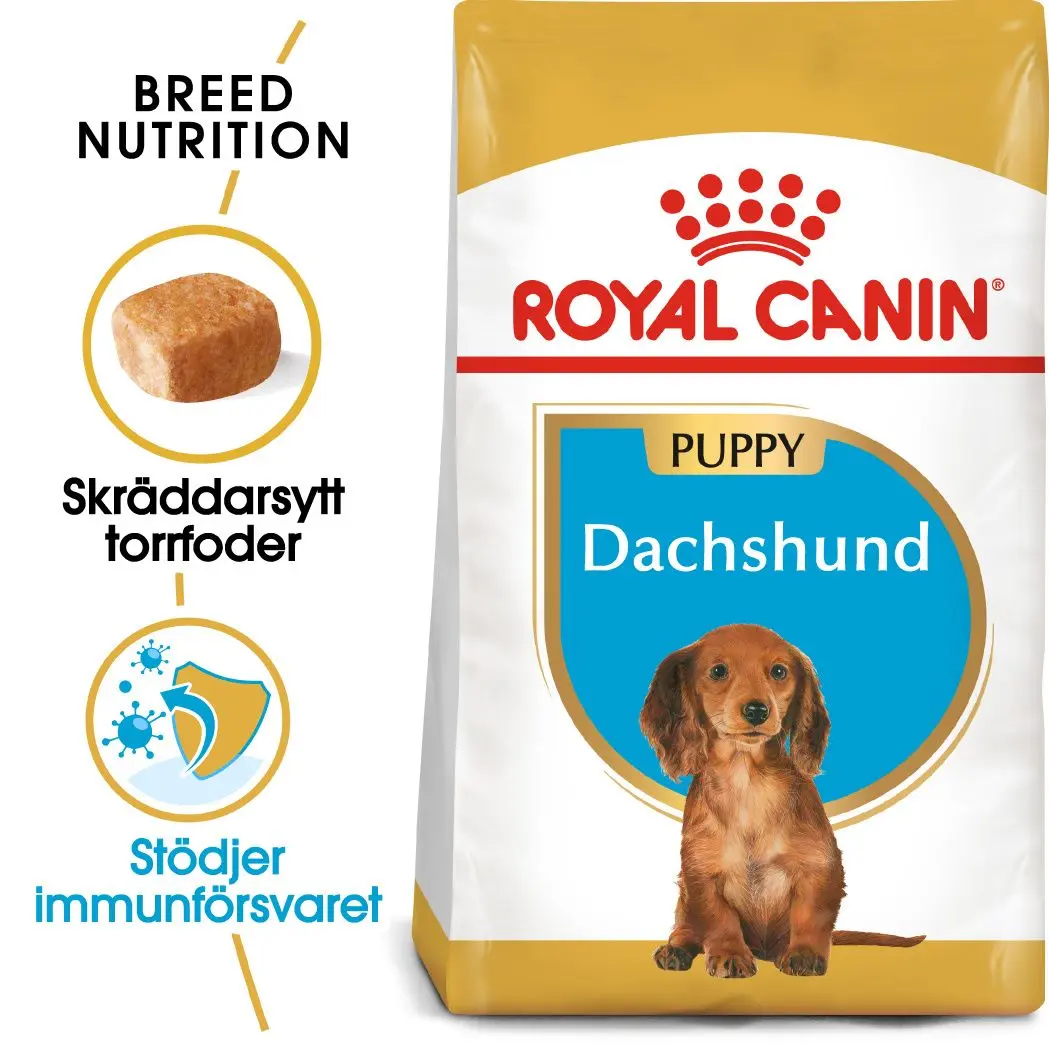 Dachshund Puppy Kuivaruoka pennuille