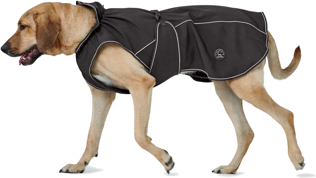 Dog Coat Uppsala Softshell