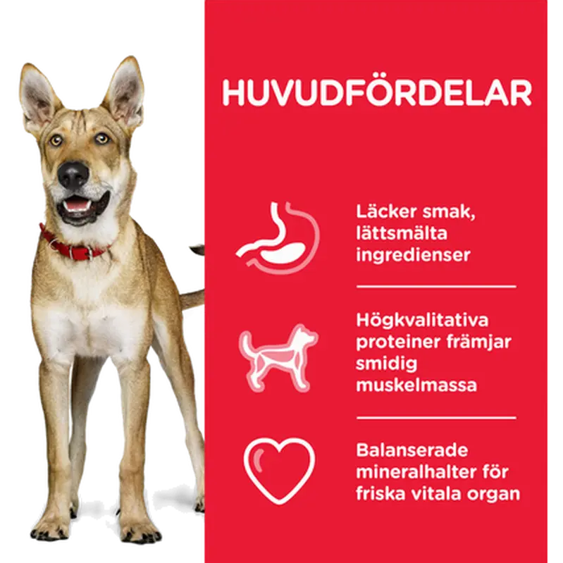 Adult Performance Chicken - Dry Dog Food