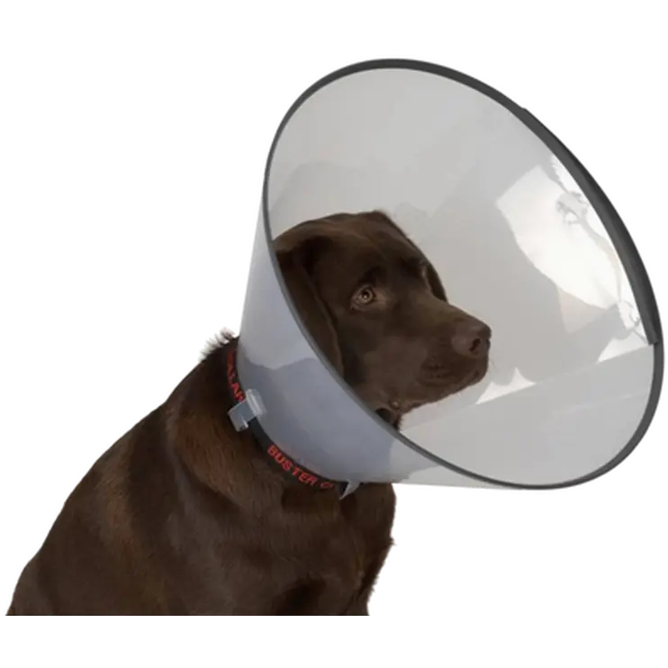 Comfort Collar