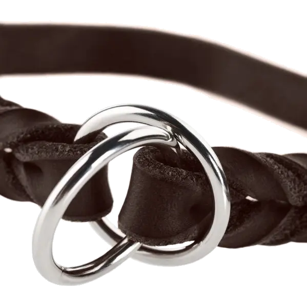 Hundhalsband Ställbart Solid Education Halvstryp Cognac