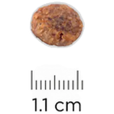 k/d + j/d Kidney + Mobility - Dry Dog Food