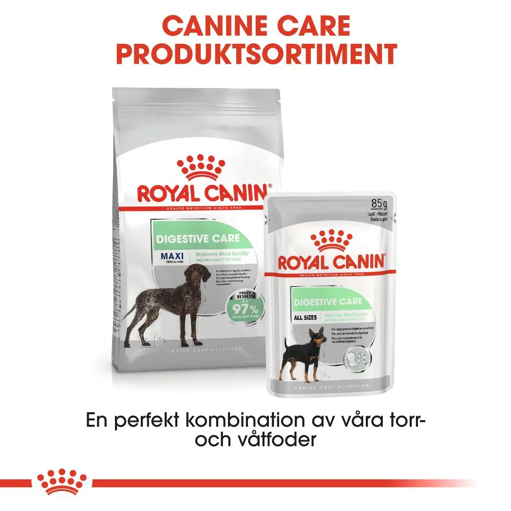 Digestive Care Adult Maxi kuivaruoka koirille