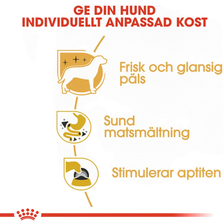 Chihuahua Adult Märkäruoka koirille