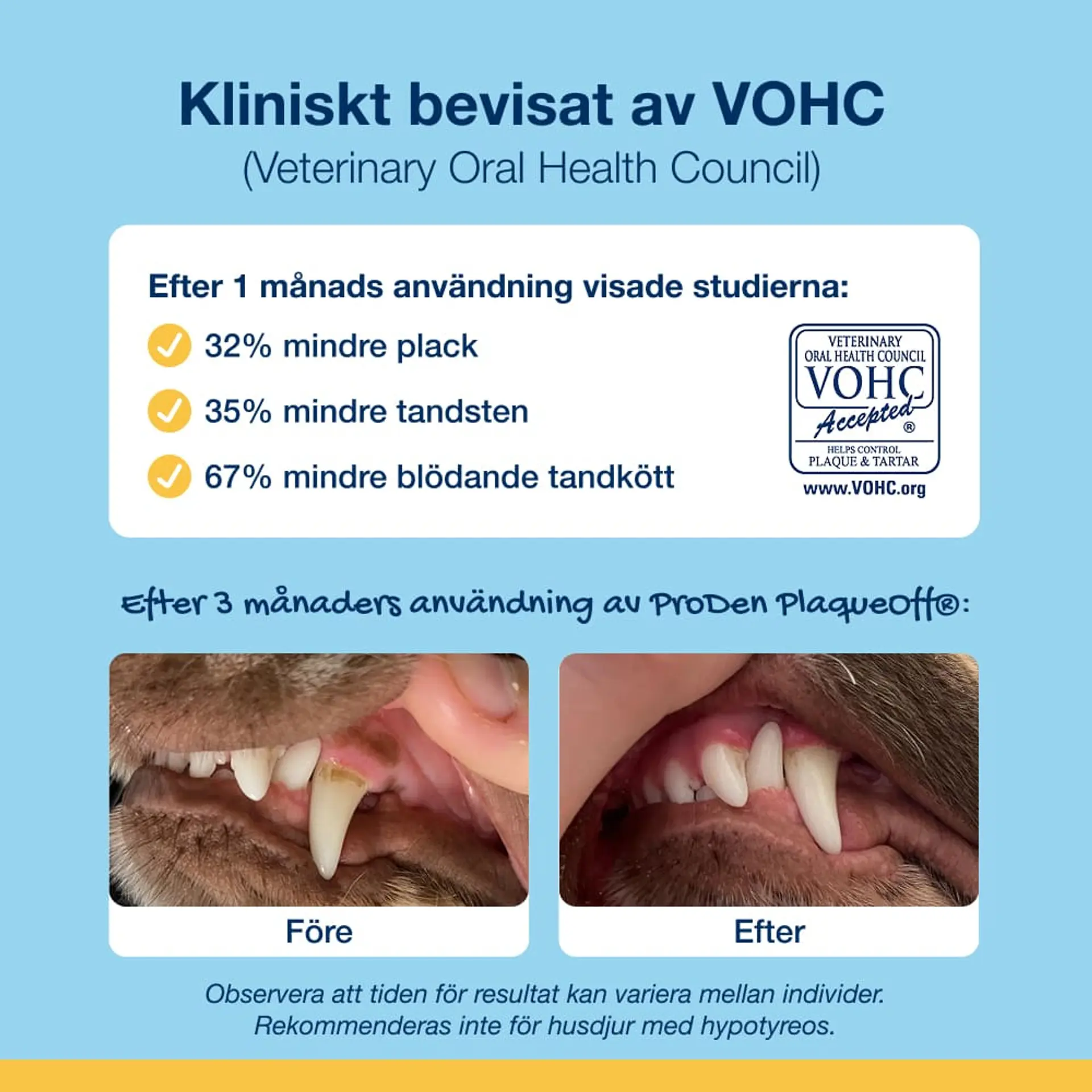 Dental Care Bones - Baconsmak