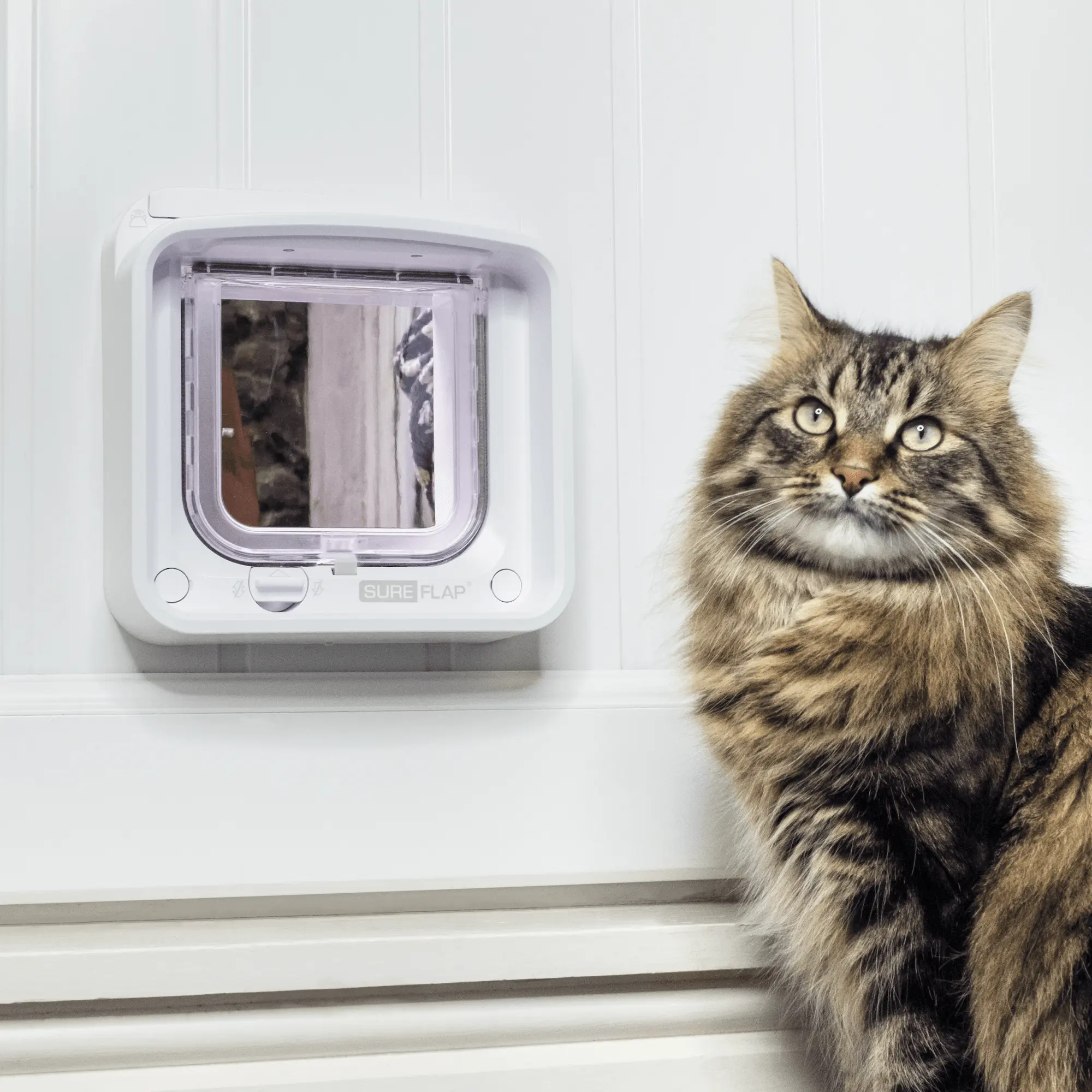Microchip Cat Flap Connect - Kattlucka + Hub