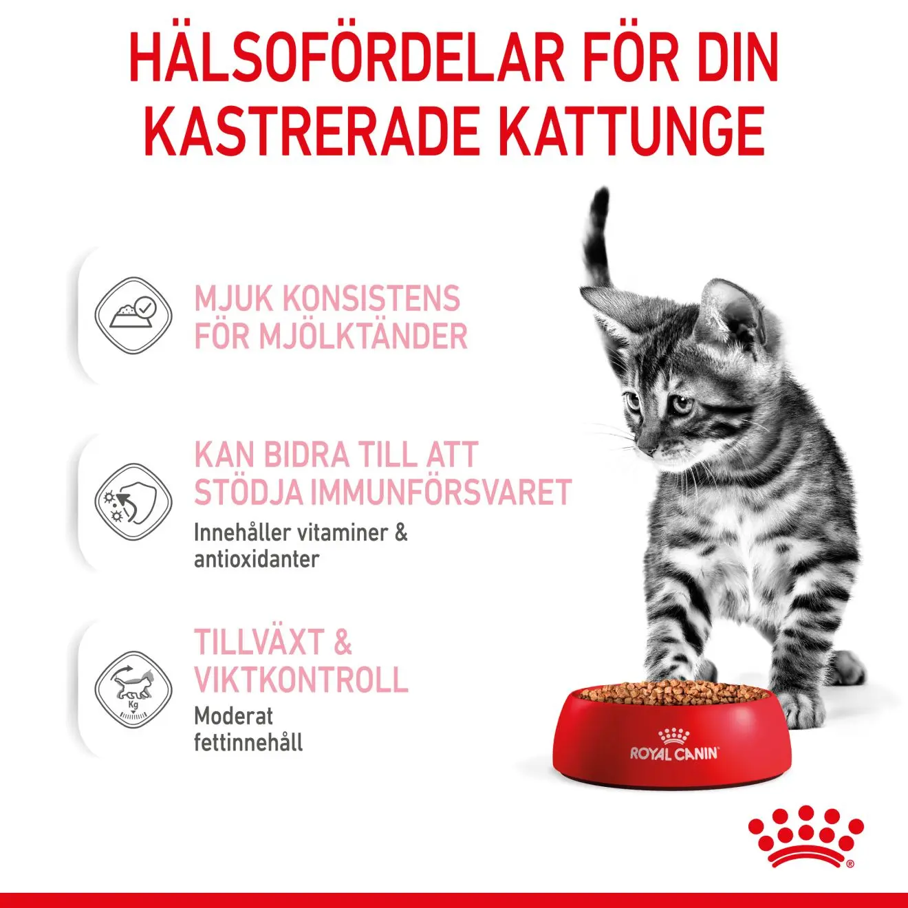 Kitten Sterilised Gravy Våtfoder för kattunge