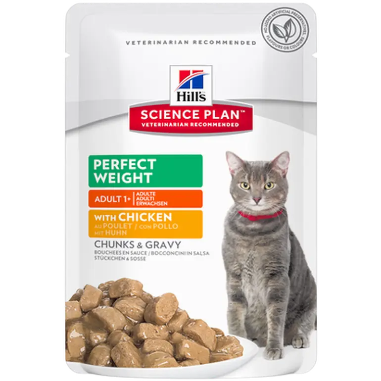 Adult Perfect Weight Chicken Salmon Pouch - Wet Cat Food