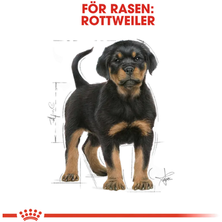 Rottweiler Puppy Kuivaruoka pennuille