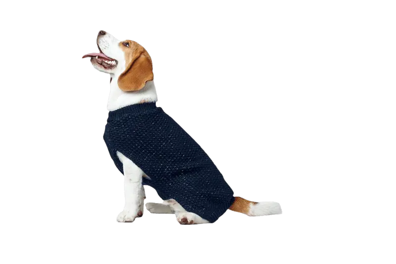 Pullover Finja - Reflekterande Hundtröja Brun