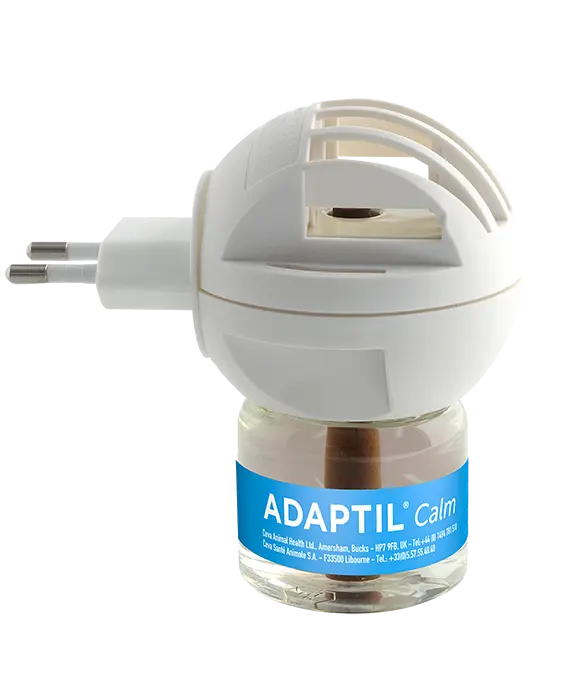 Calm Home Diffuuseri