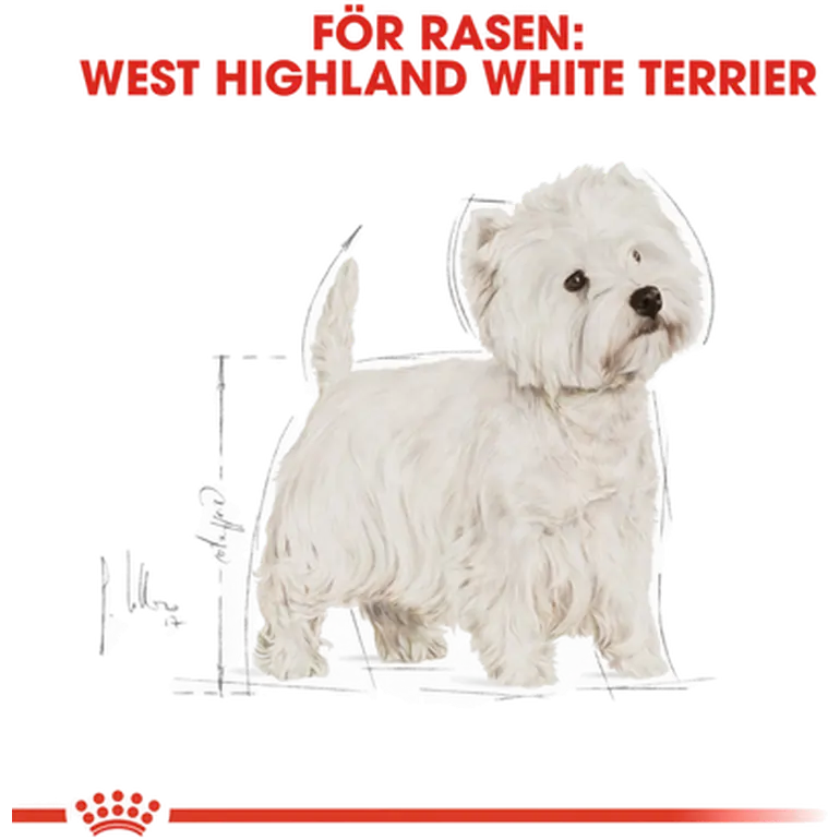 Breed West Highland Terrier Adult Dry koiranruoka