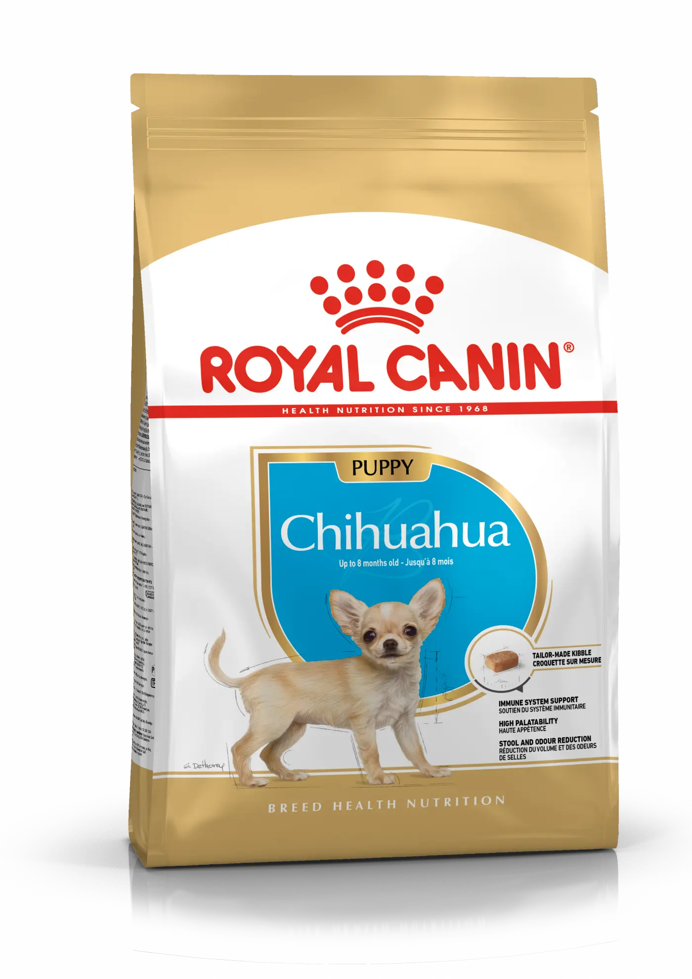 Chihuahua Puppy Kuivaruoka pennuille