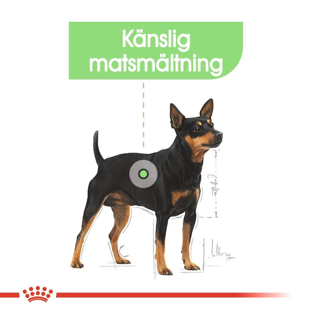 Wet Digestive Care Märkäruoka koirille