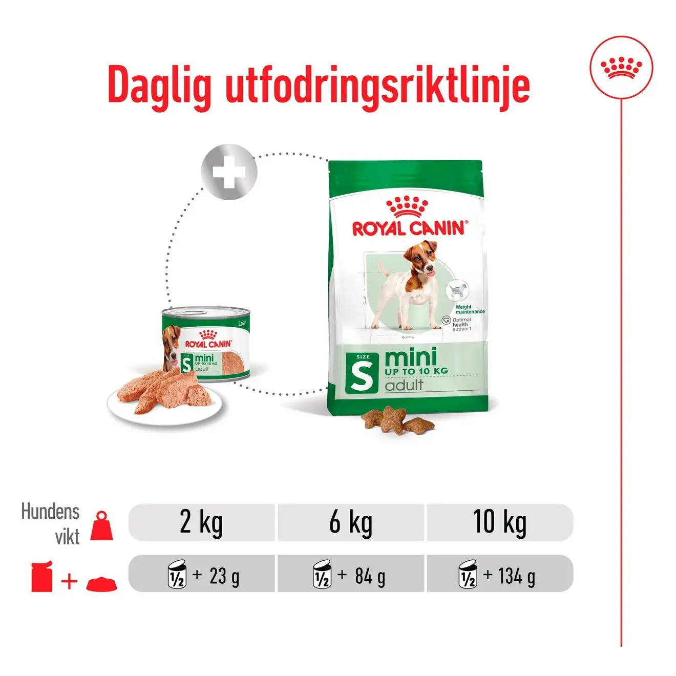 Mini Adult Loaf Märkäruoka koirille