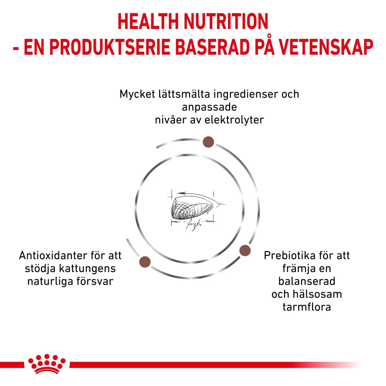 Gastro Intestinal Kitten kissan kuivaruoka