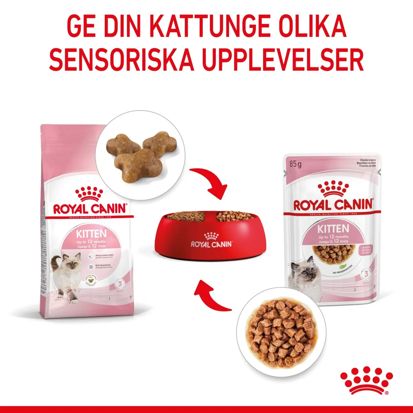 Kitten Gravy kissanpennun märkäruoka