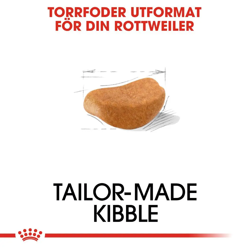 Rottweiler Adult Dry food koirille