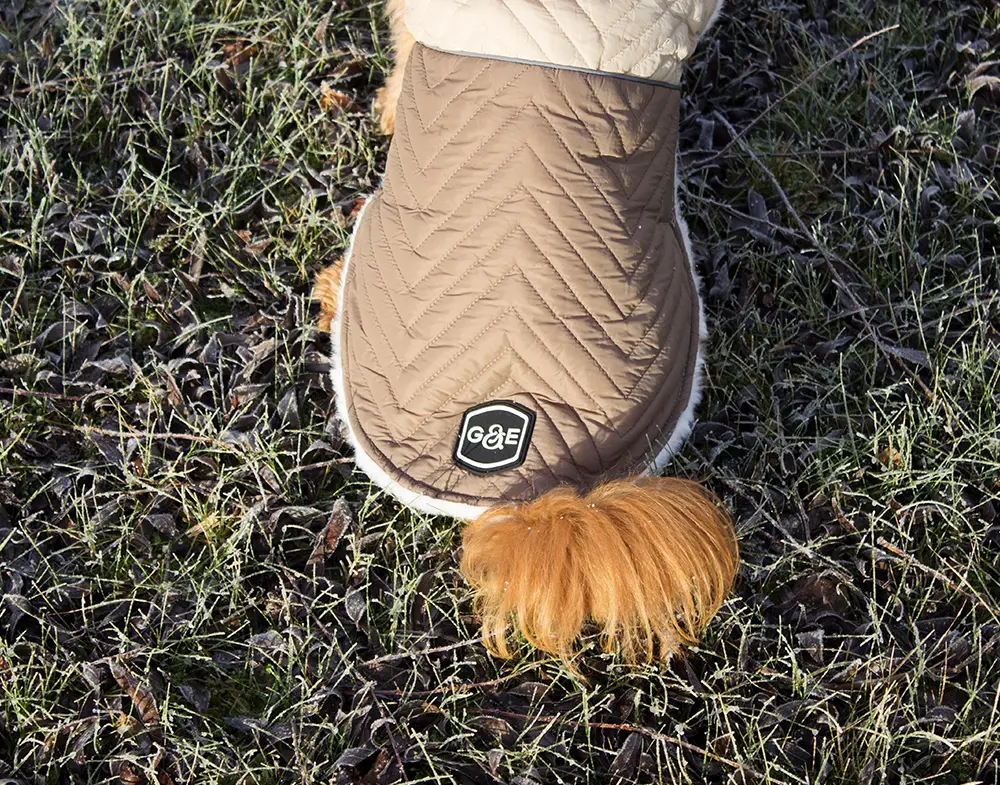 Peitot ComfortCuddle Beige