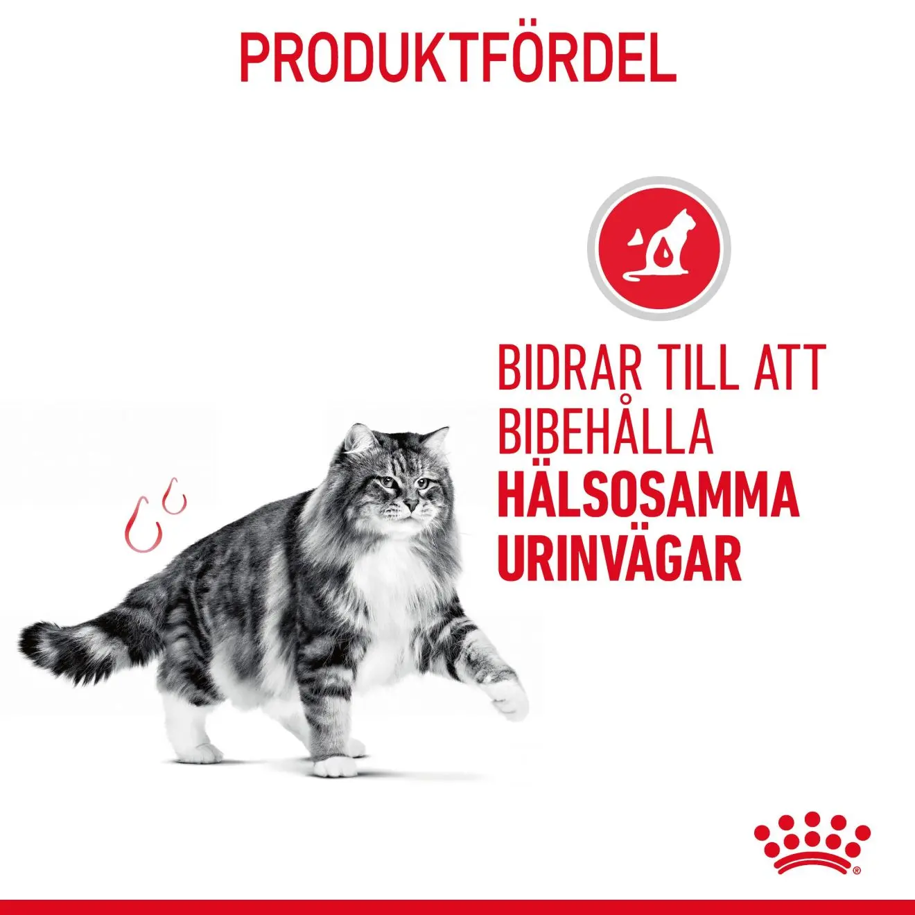 FCN Urinary Care Gravy Adult kissan märkäruoka