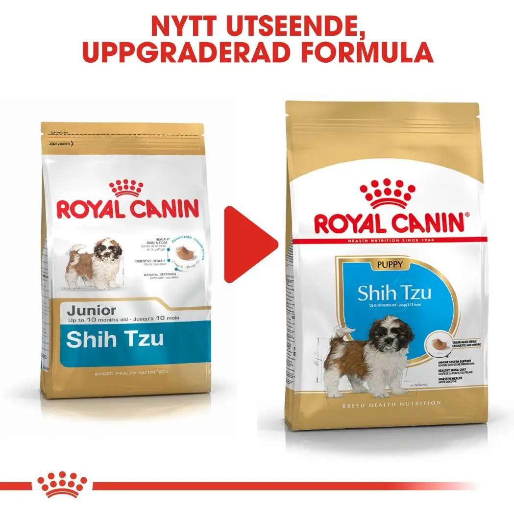 Shih Tzu Puppy Kuivaruoka pennuille