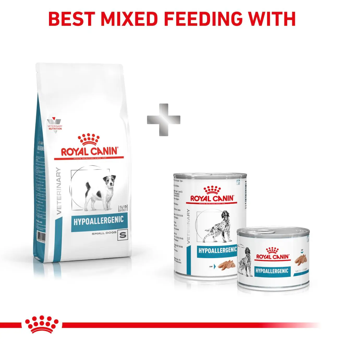 Derma Hypoallergenic Small Dog kuivaruoka koirille