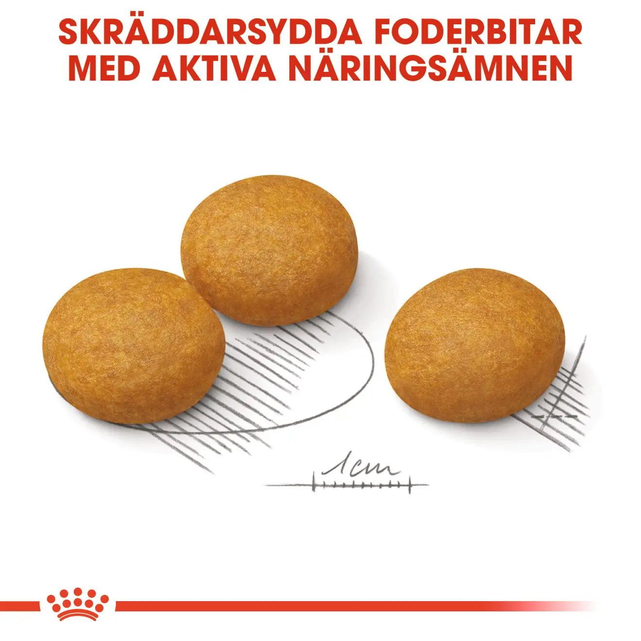 Dermacomfort Adult Maxi kuivaruoka koirille