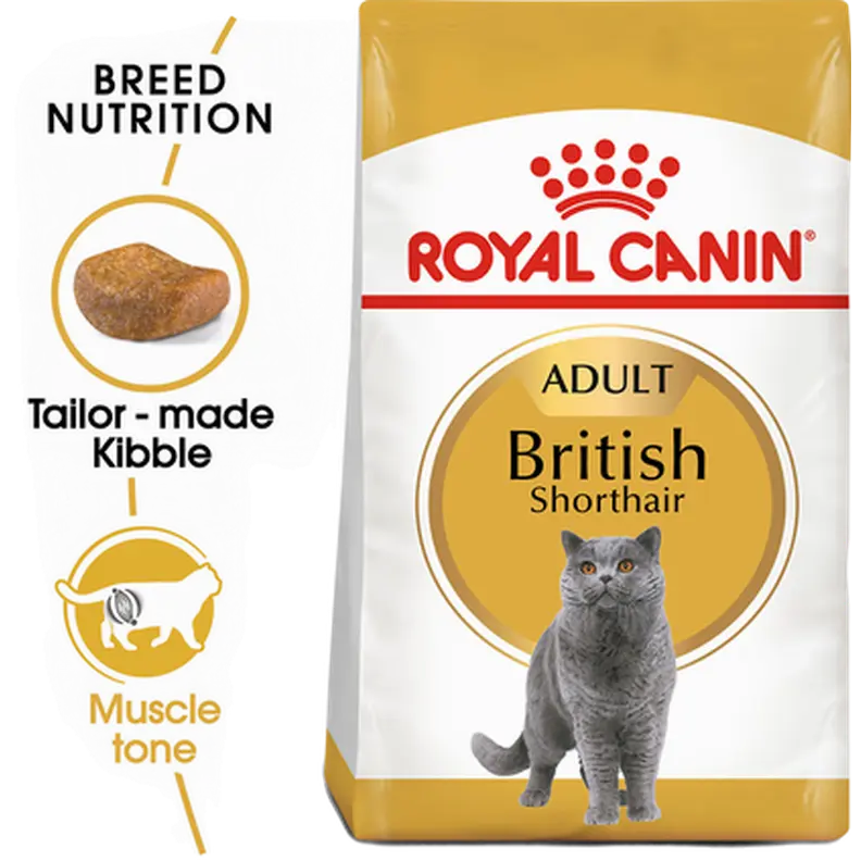 British Shorthair Adult kissan kuivaruoka