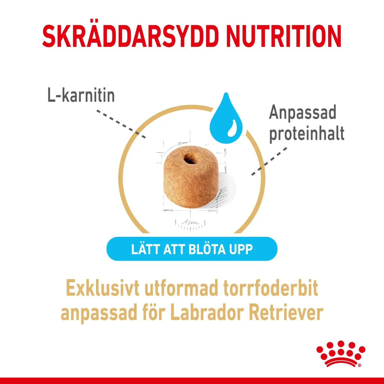 Labradorinnoutaja Adult 5+ kuivaruoka