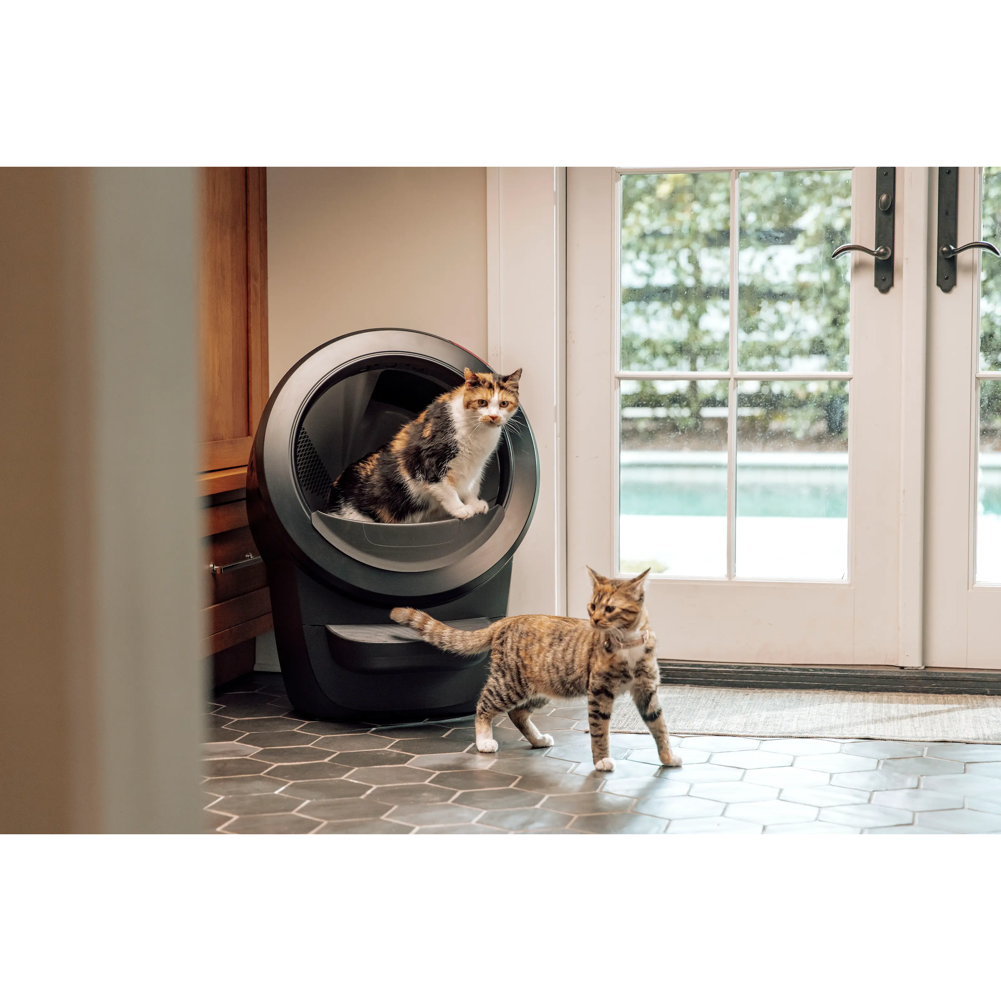 Litter-Robot 4 Självrengörande Kattlåda, svart