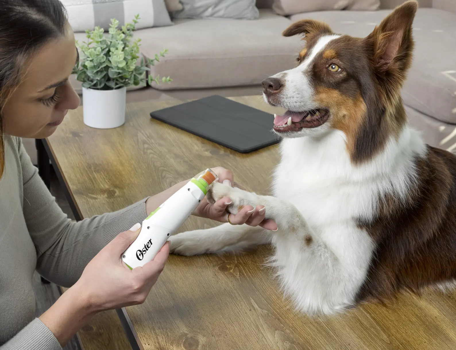 Cordless Nail Filer 2-speed Trådløs Klosliper