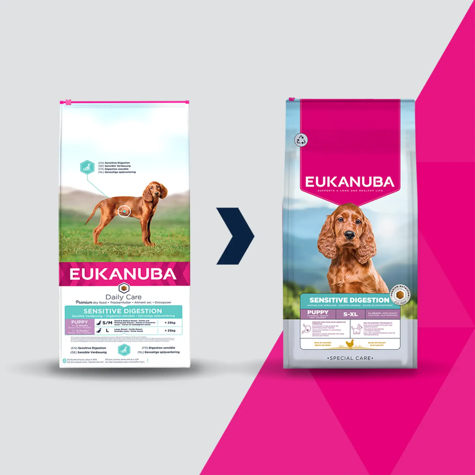 Dog Daily Care Puppy Sensitive Digestion