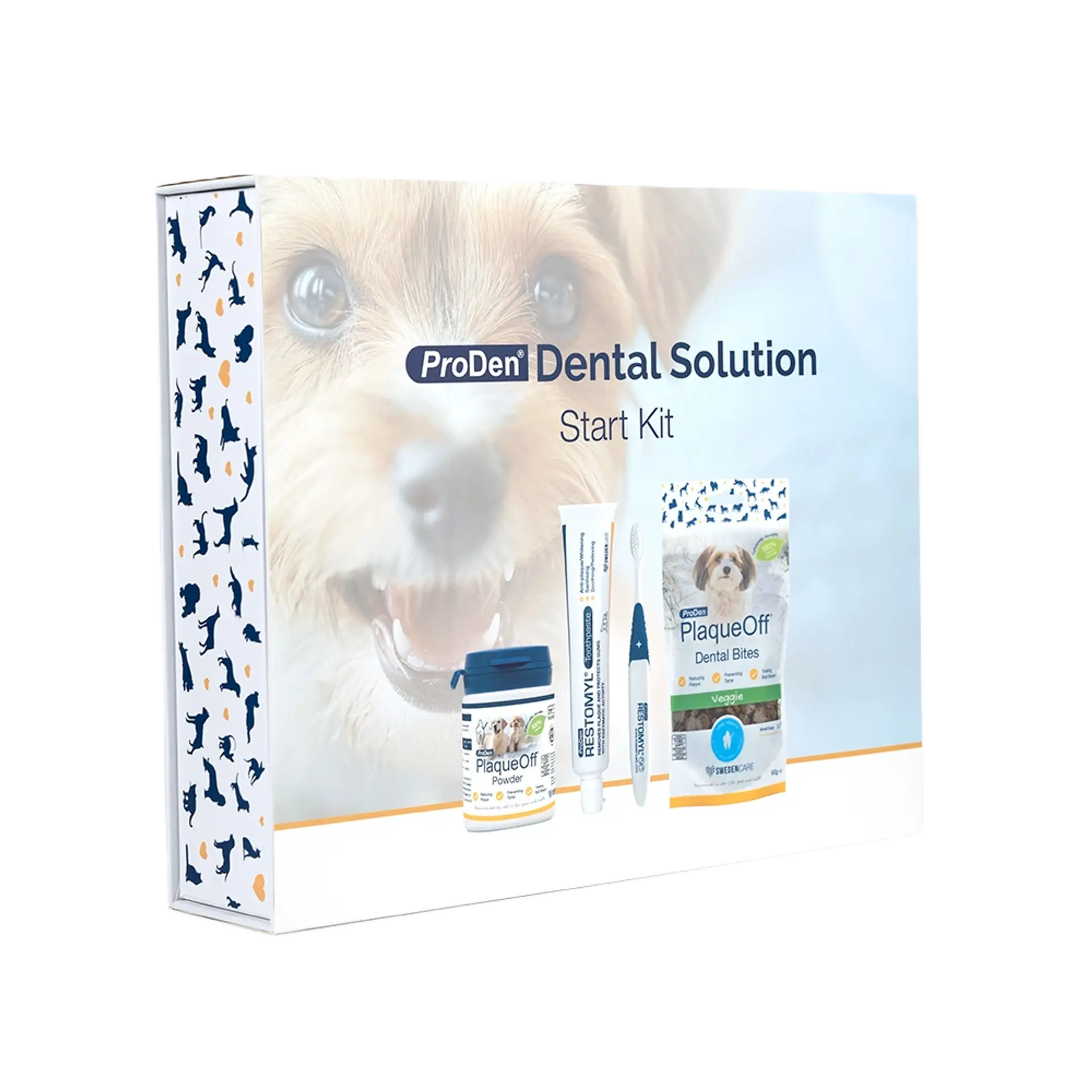 Dental Solution Tandvårdslåda Startkit