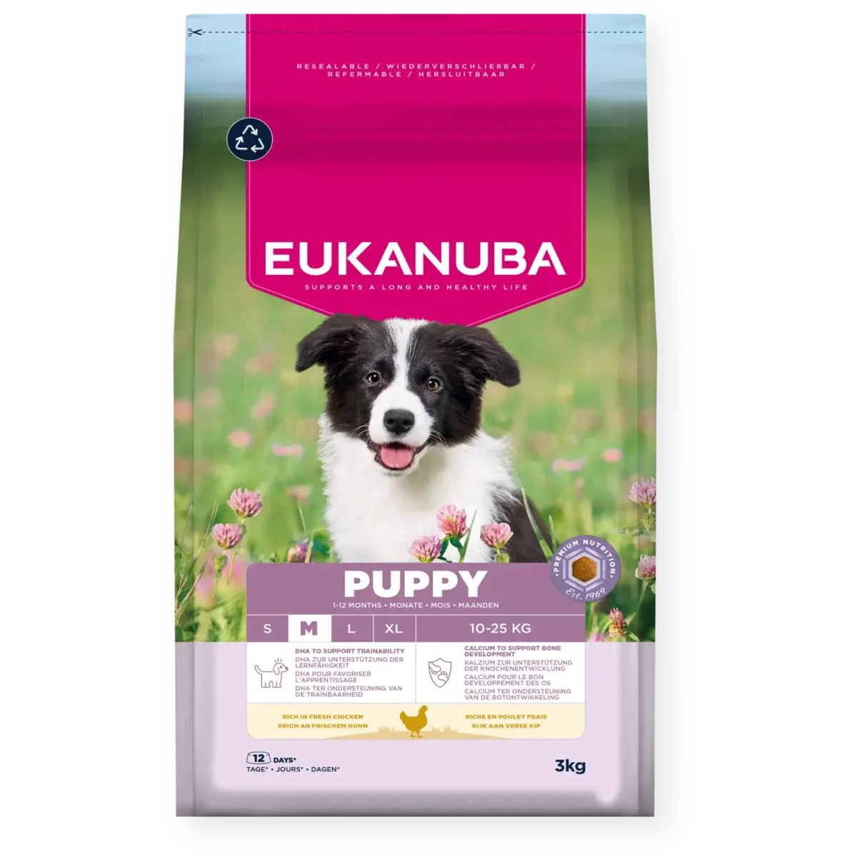 Dog Puppy Medium Breed 3 kg