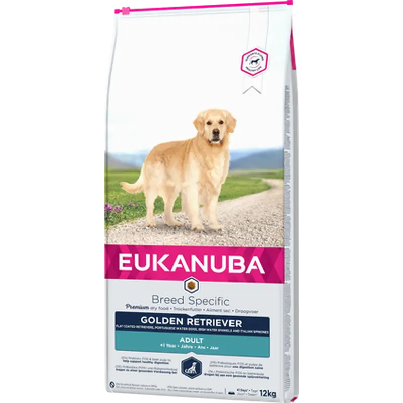 Dog Breed Golden Retriever 12 kg