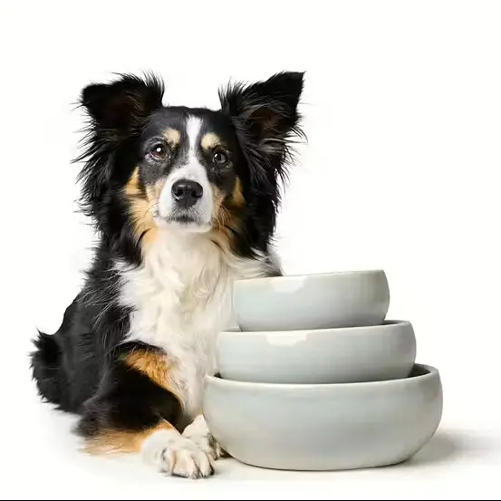 Bowl Lisboa Ceramic MultiColored Creme