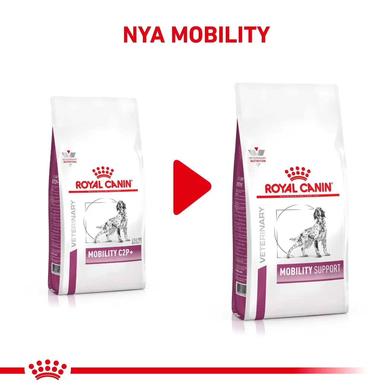 Mobility Support Kuivaruoka koirille