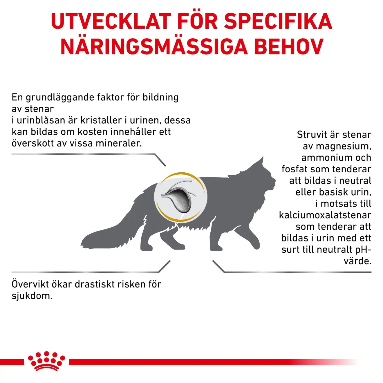 Urinary S/O Moderate Calorie Torrfoder för katt